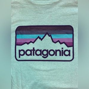 Patagonia teal tshirt